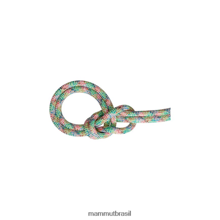 9.5 crag we care corda seca unissex TZF08F387 Mammut equipamento portão de arame, sortido